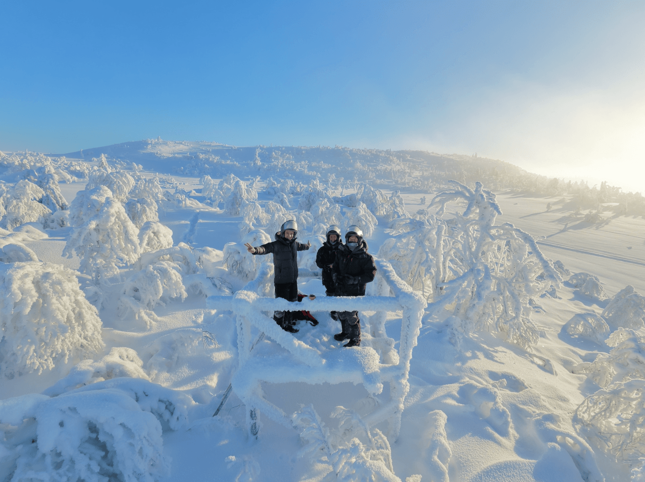 Privately guided activities in Swedish Lapland