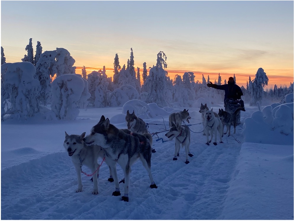 All-inclusive Lapland stay at Lakita Lodge