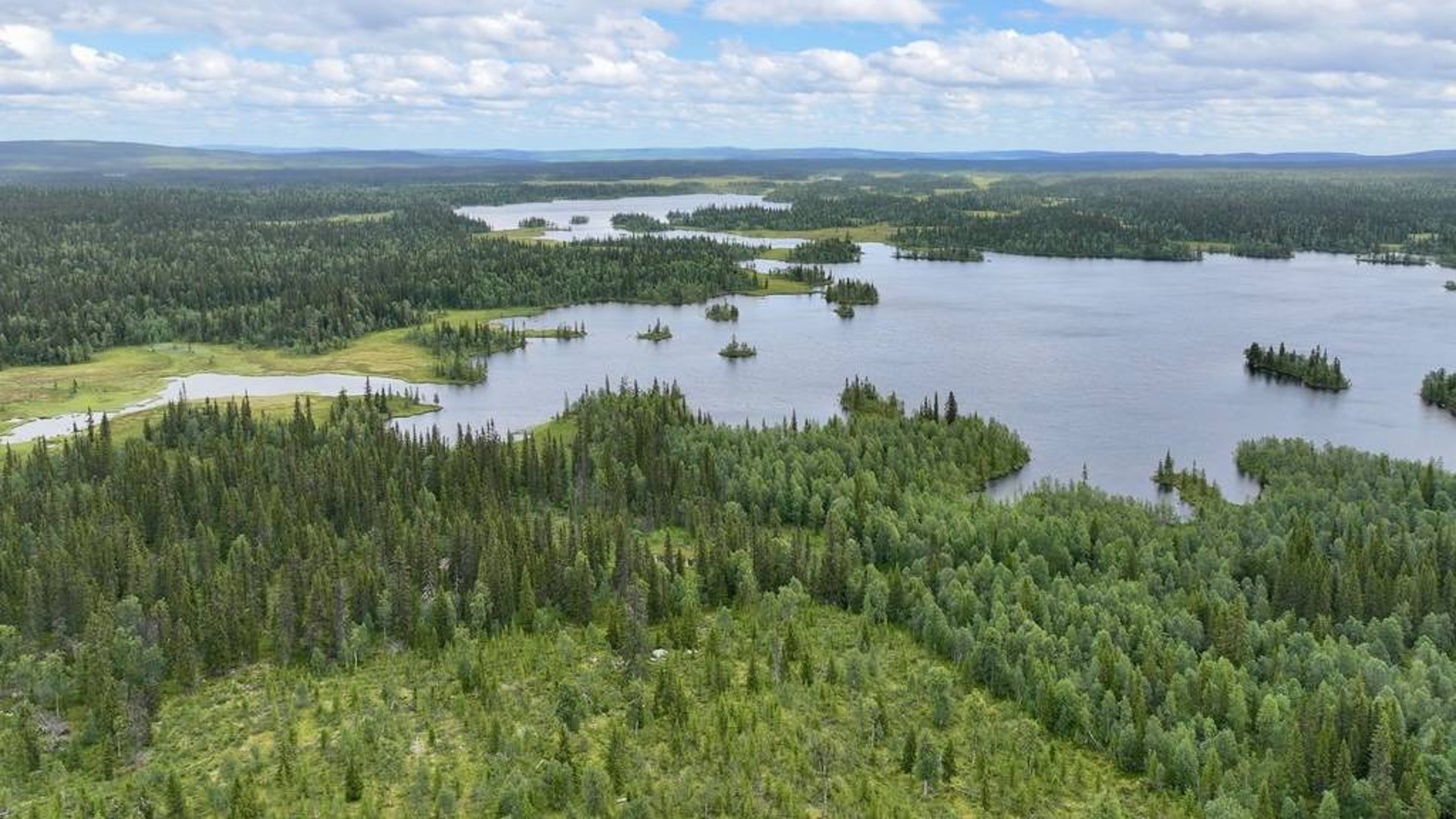 Boreal wilderness at Lakita Lodge — sustainable hospitality