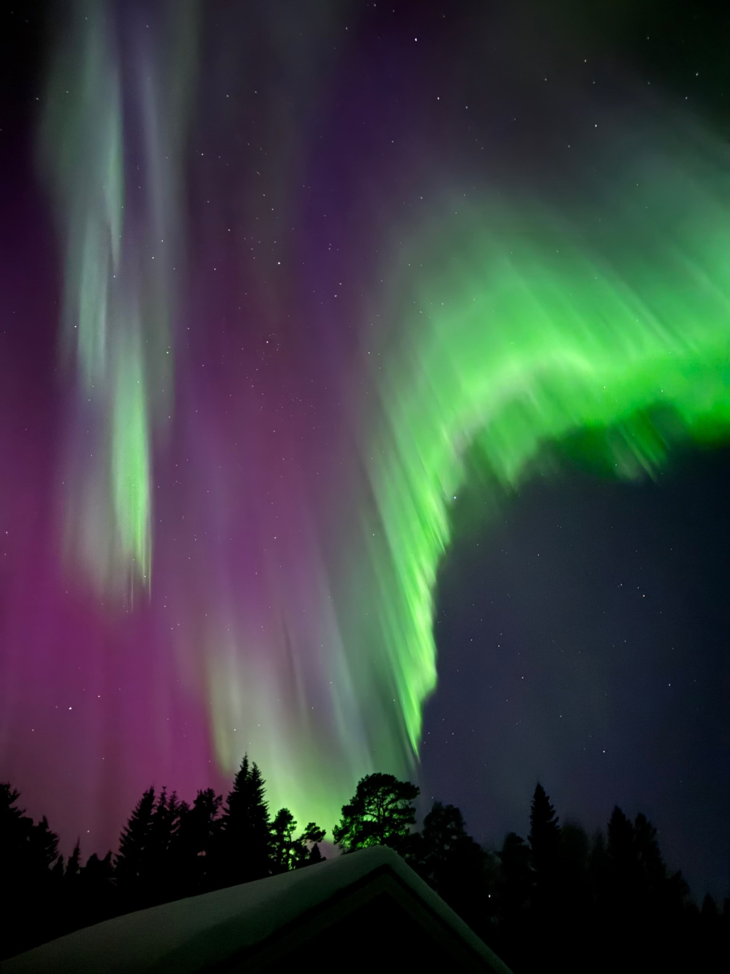Northern Lights aurora borealis over Swedish Lapland wilderness
