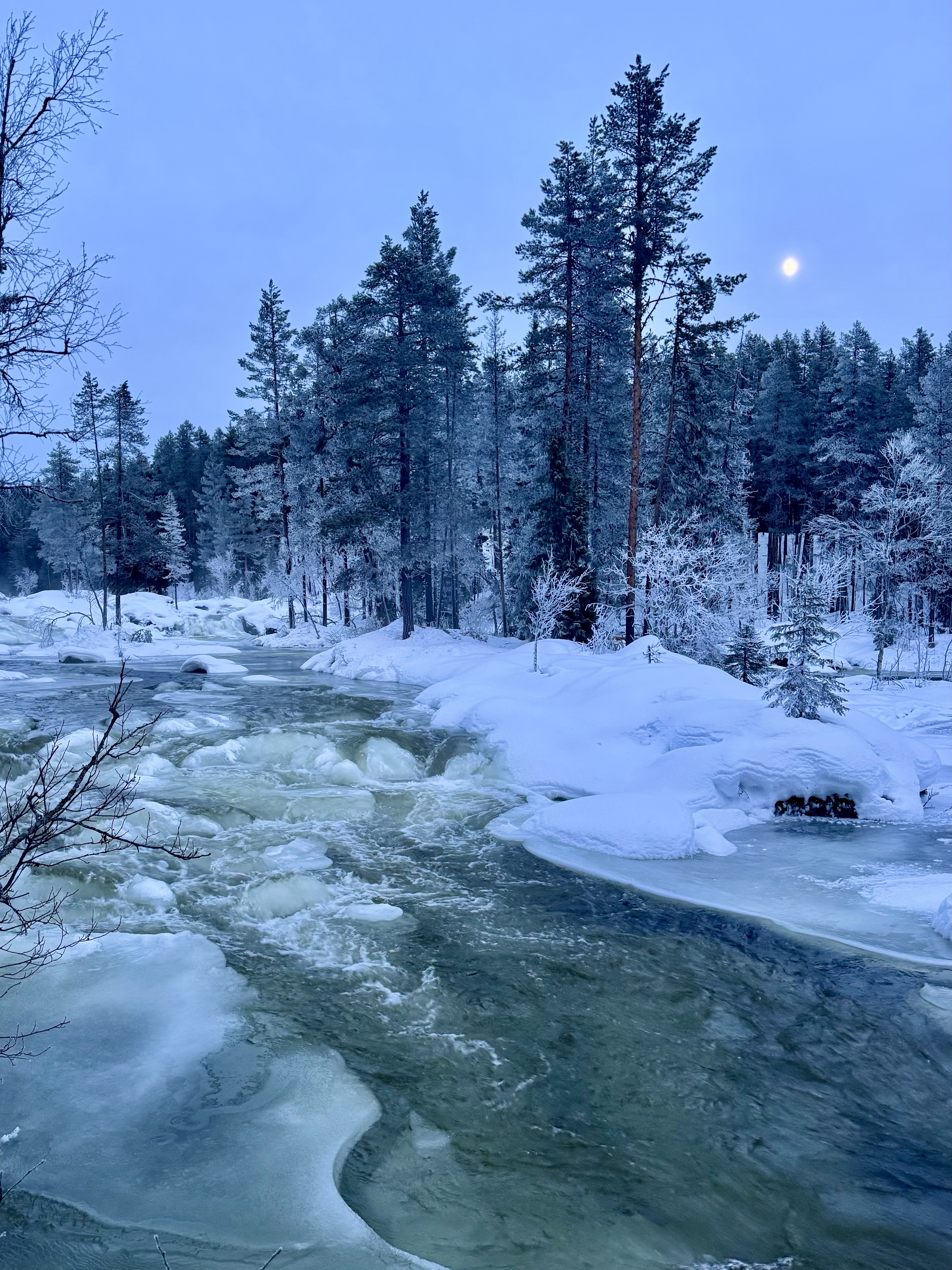 River Exploration — snowy river through the boreal forest at Lakita Lodge
