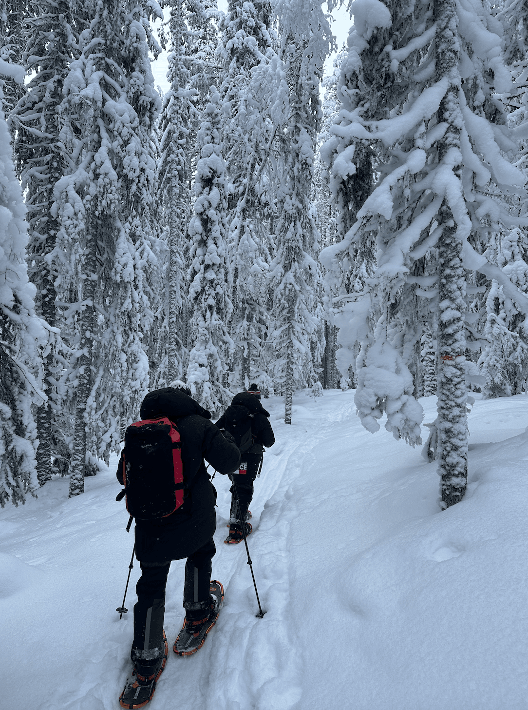 Snowshoe hiking through the frozen wilderness of Swedish Lapland